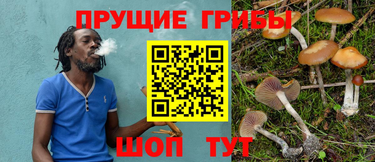 Галлюциногенные грибы мухоморы Старая Русса