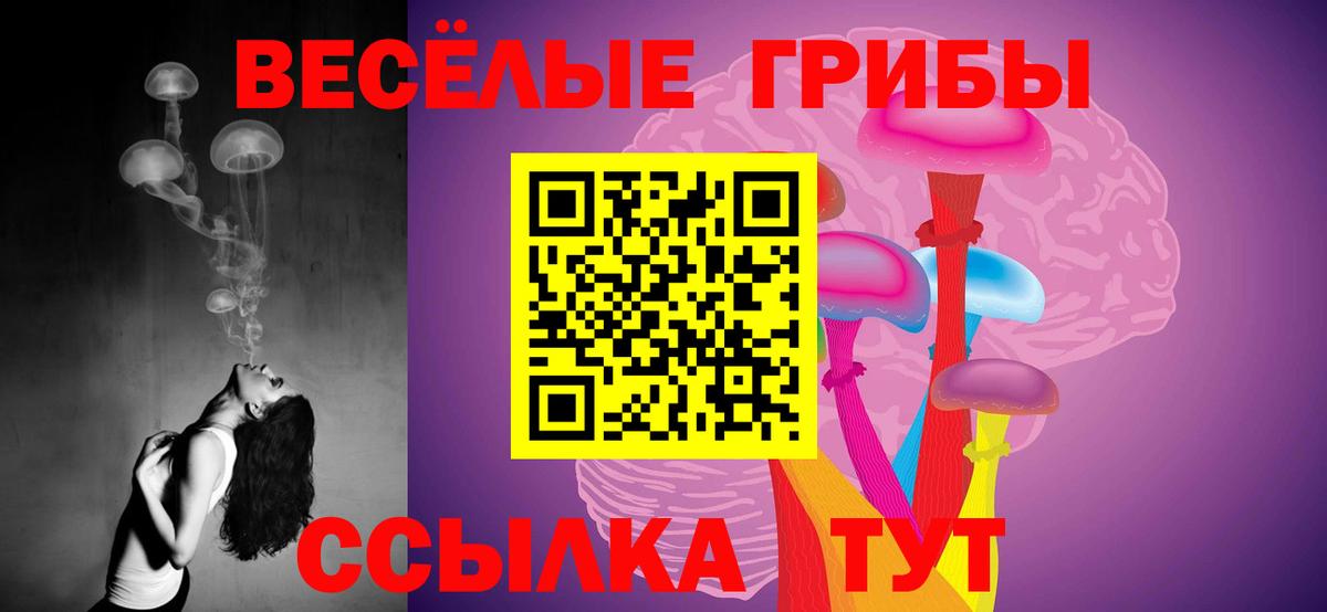 где можно купить наркотик  Псилоцибиновые грибы Psilocybine cubensis  Вход с VPN  Галлюциногенные грибы мицелий  Старая Русса 